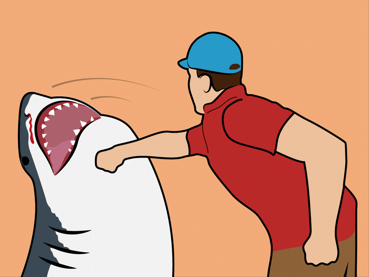 dangerous survival myths - Punching a shark in the nose.