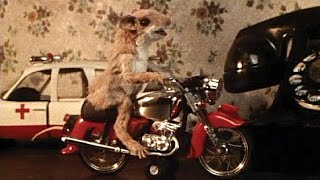 kid's movies -mouse on a motorcycle -