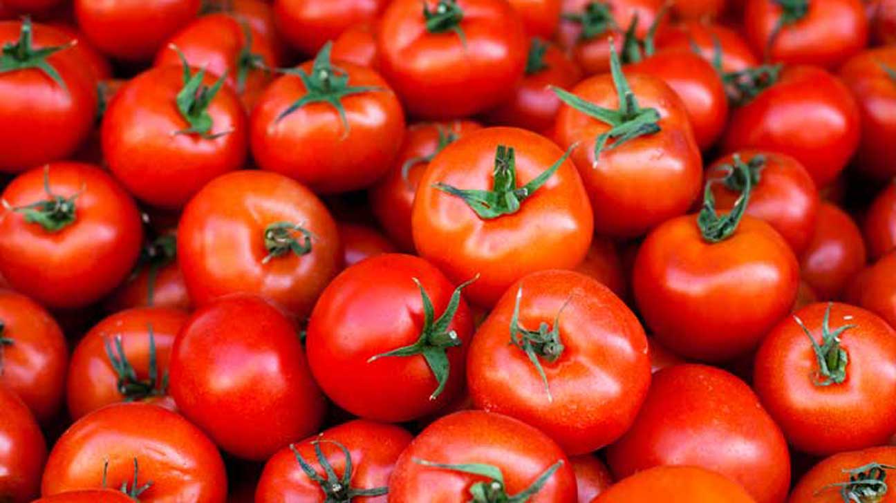 do not refrigerate - tomato price