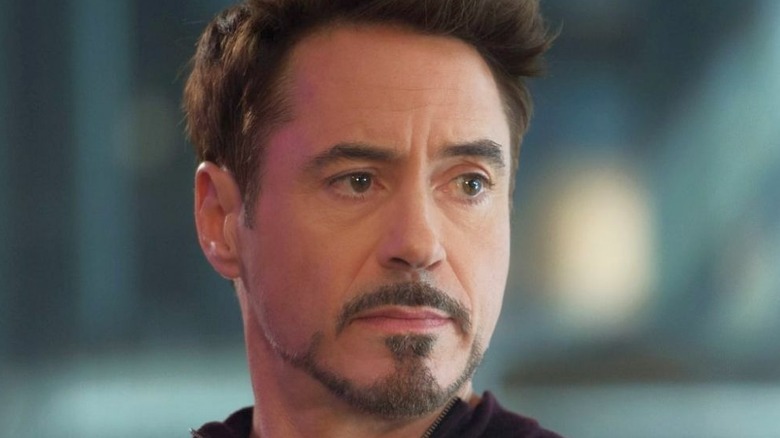 actors who play themself - Robert Downey Jr.