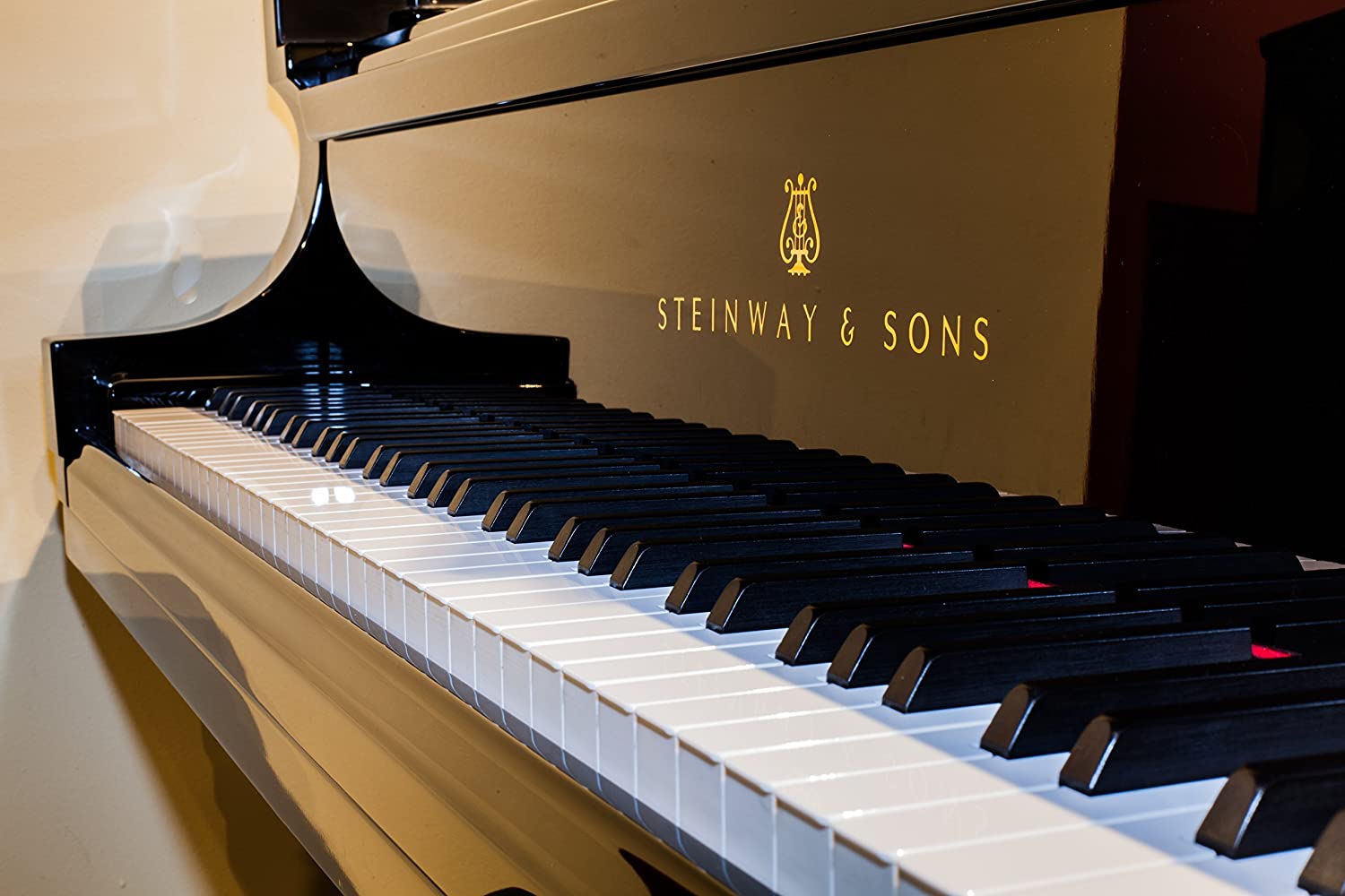 signs someone is filthy rich - A Steinway concert grand piano
