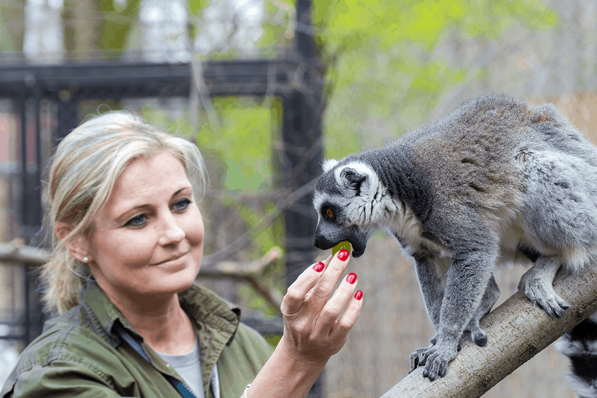 Jobs that deserve higher pay -zookeeper and animal