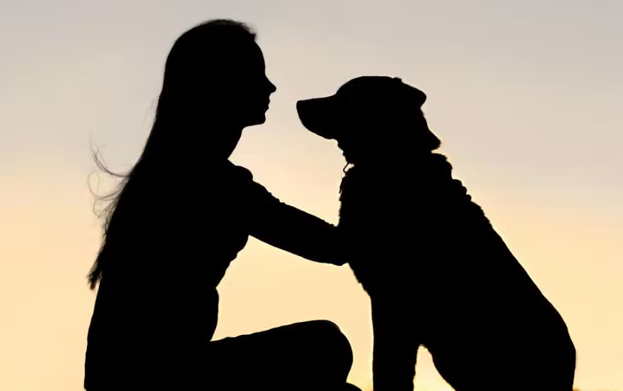 teachers fired - women and dog silhouette