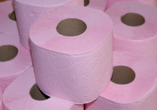Things that disappeared without a trace - scott colored toilet paper