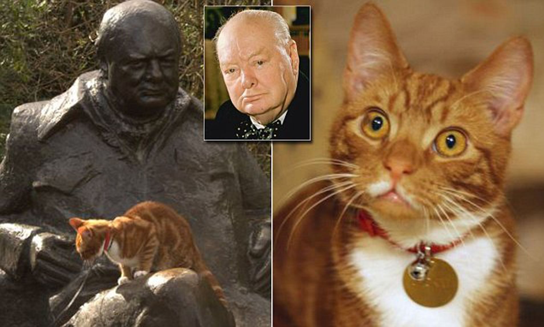 When Winston Churchill sold Chartwell, the family home, to the National Trust, he required that there always be a marmalade cat named Jock in "comfortable residence." The Trust honored that request. The current occupant is Jock VII, a six-month-old rescue