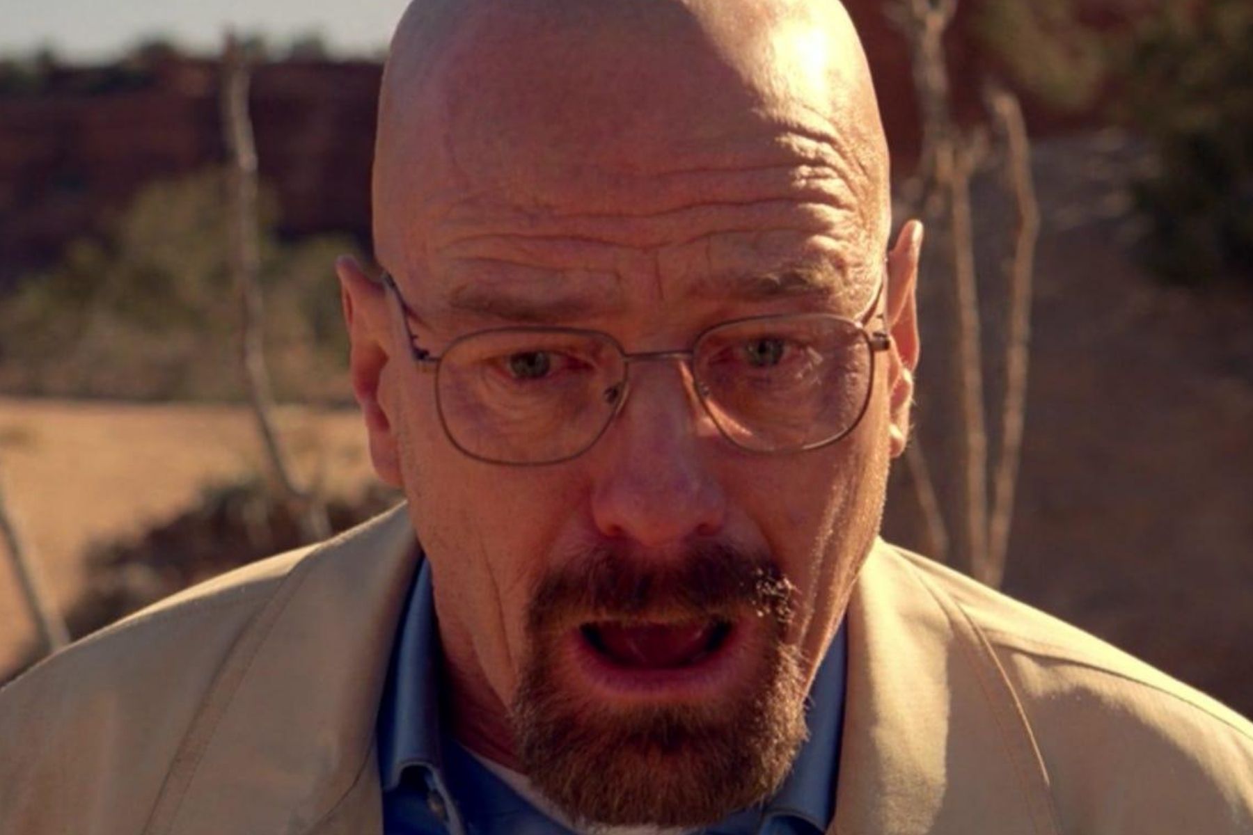 Comedy Actors in Drams - walter white