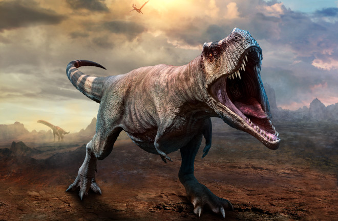 Real Facts - t rex dinosaur - 1447