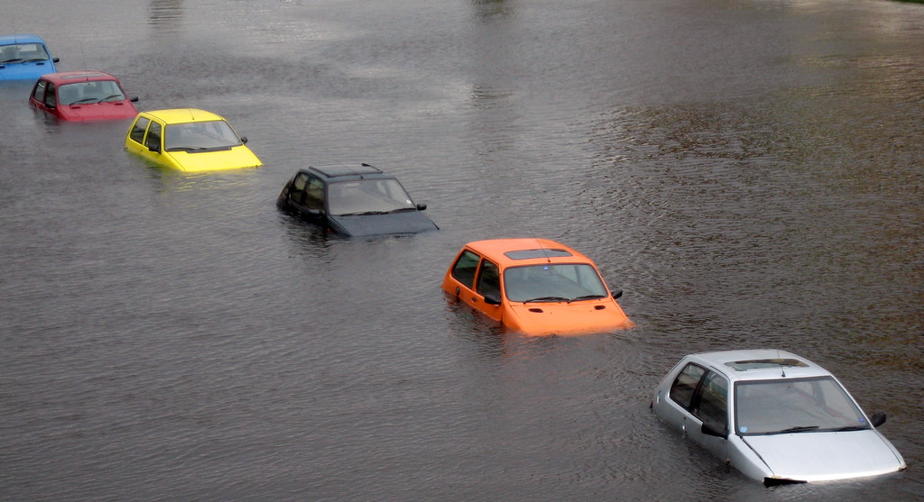 Wild Statistics - car in flood water