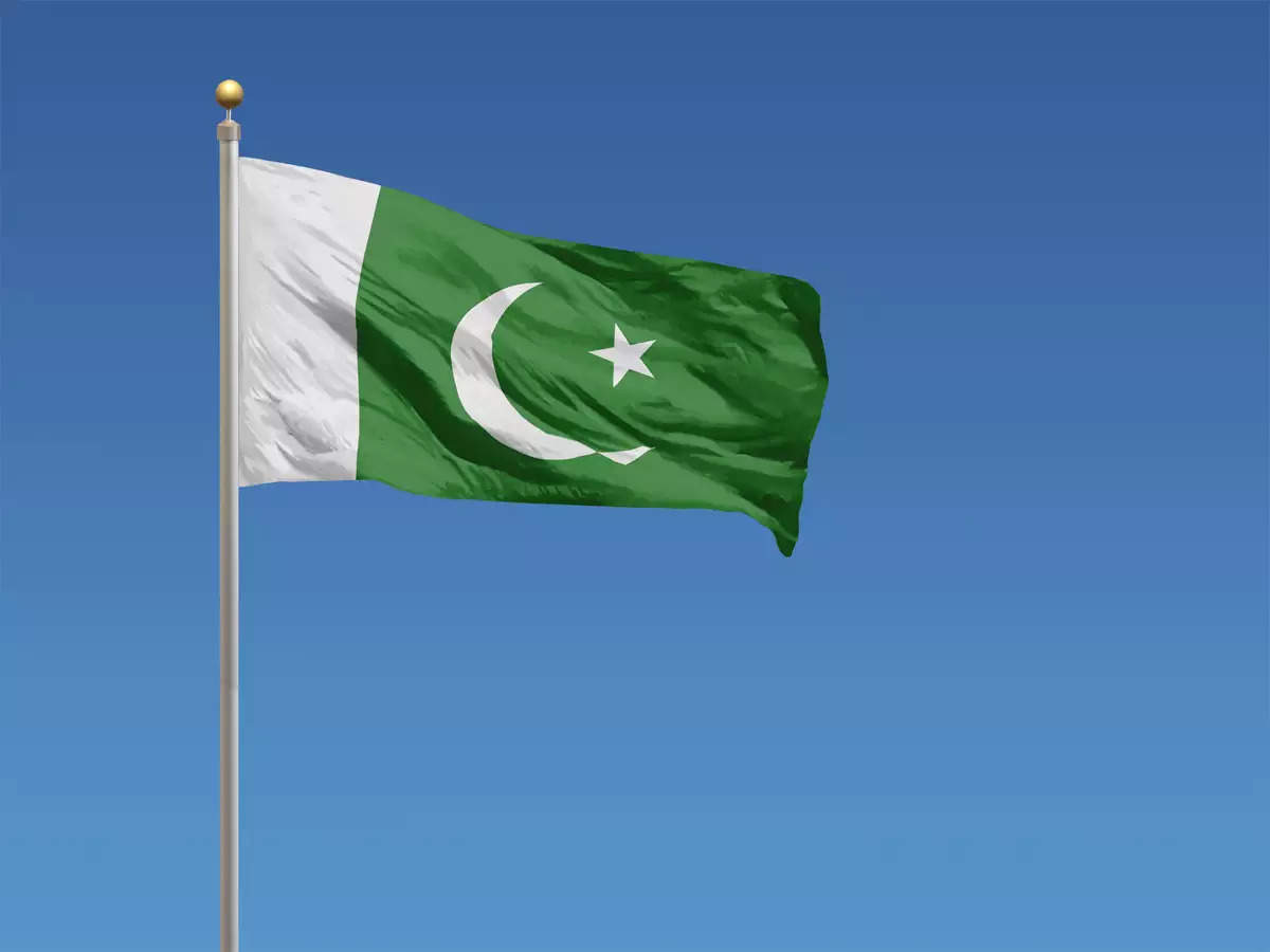 Wild Statistics - pakistani flags
