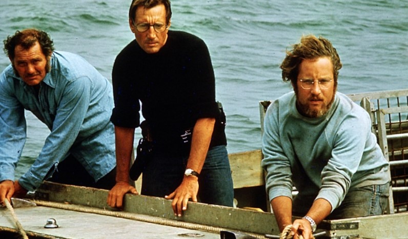 Movies That Would Never Get Made Today - jaws movie - Bre