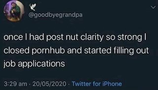 nsfw mythbusters questions - alpha male twitter quotes - once I had post nut clarity so strong I closed pornhub and started filling out job applications 20052020 Twitter for iPhone