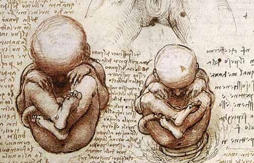Leonardo da Vinci Facts - One of the few references that Leonardo Da Vinci made to sexuality in his notebooks states: "The act of procreation and anything that has any relation to it is so disgusting that human beings would soon die out if there were no p