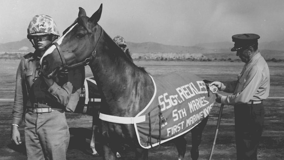Korean War facts  - - Today I learned about the Horse, Sergeant Reckless.