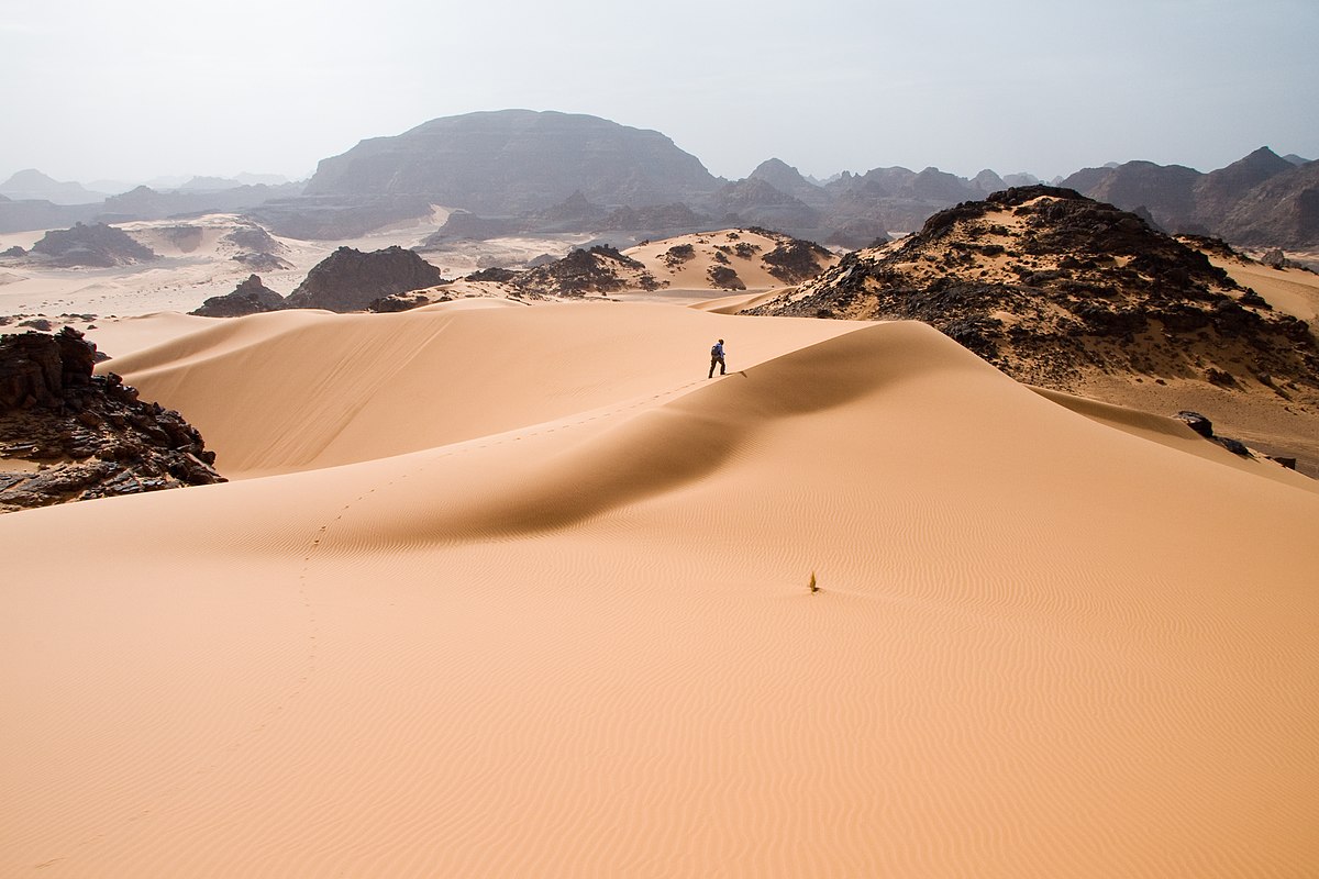 Fun Facts - sahara desert