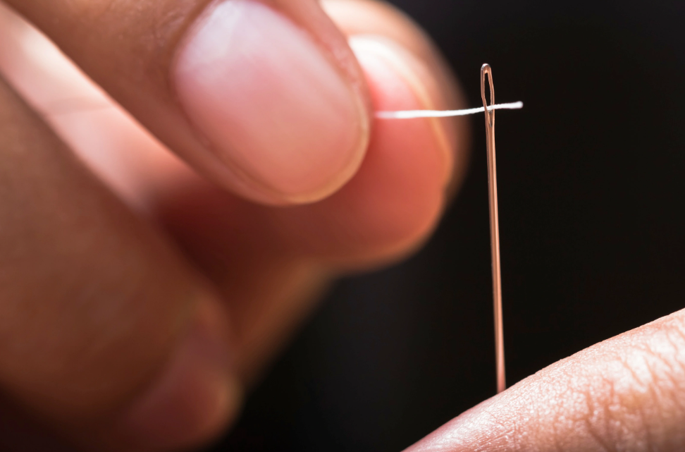 Isaac Newton Facts - sewing needle