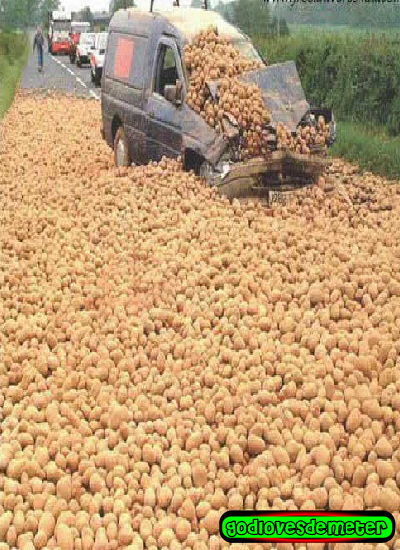 At least 50,000 potatoes didn't fall out of a helicopter onto your truck....lol