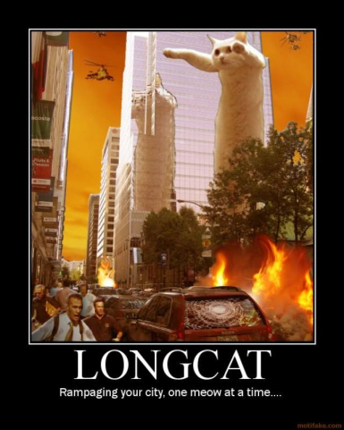 longcat memes - Longcat Rampaging your city, one meow at a time... motifake.com