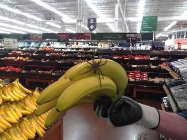 I'll pass those bananas!