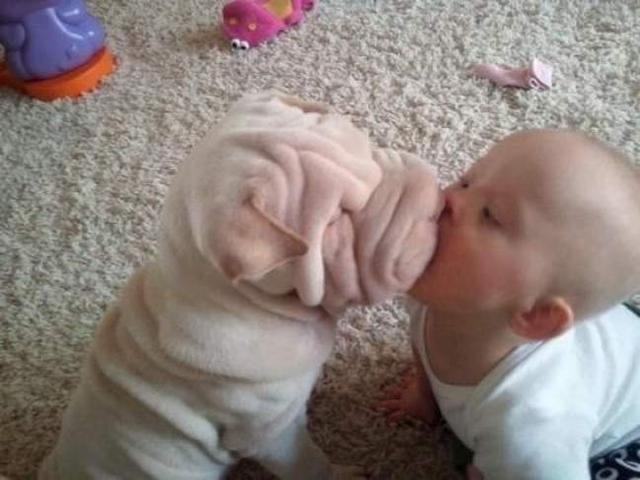 baby kissing a puppy