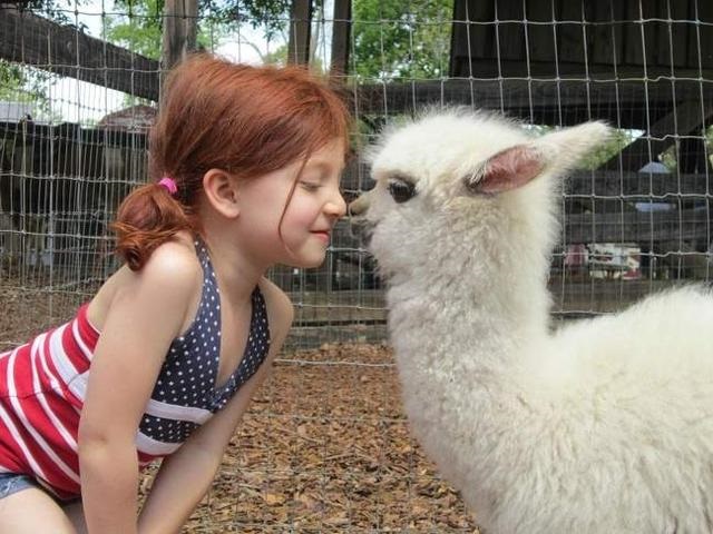 15 Examples That Kids Plus Pets Equals Cuteness Overload!