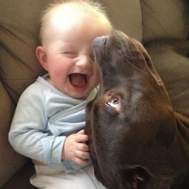 laughing baby with pet