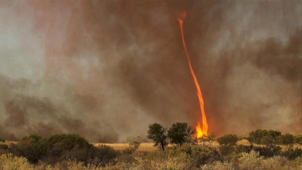 Fire tornados, why not?