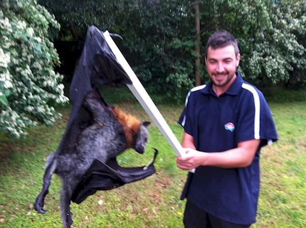 Look at the size of that bat...