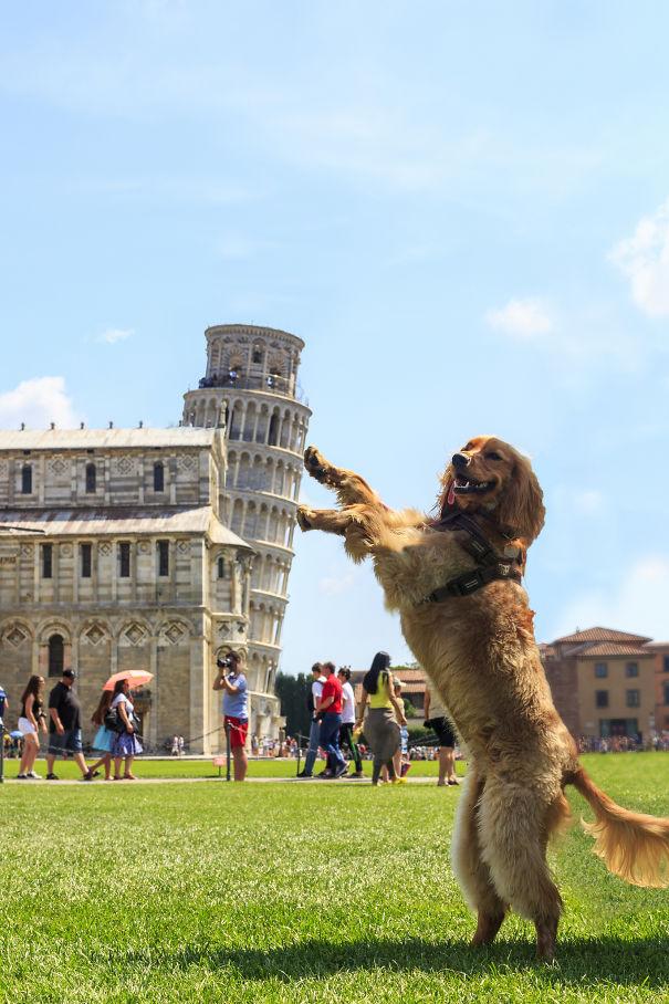 Leaning doggo of Pisa!