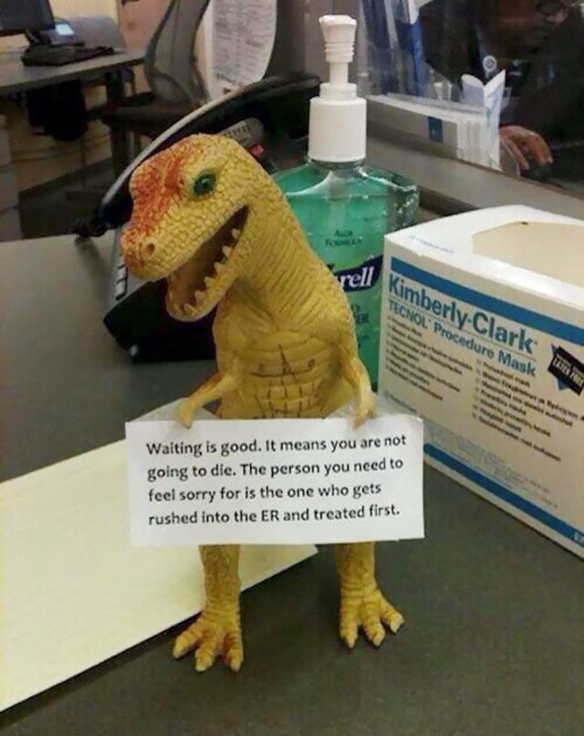 Hospital t-rex with a daily note.