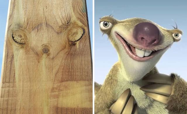 sid the sloth