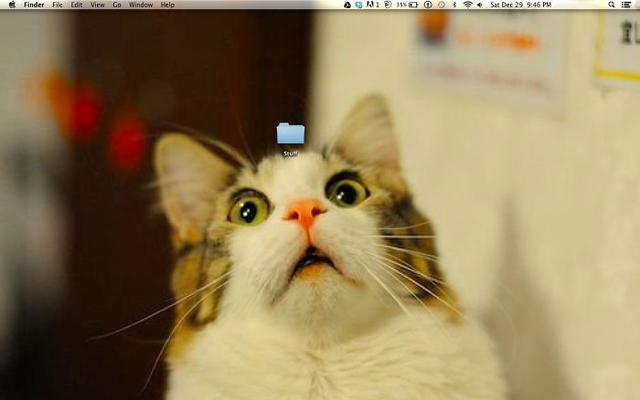 17 Hilariously Genius Desktop Wallpapers That Will Make You Look Twice!