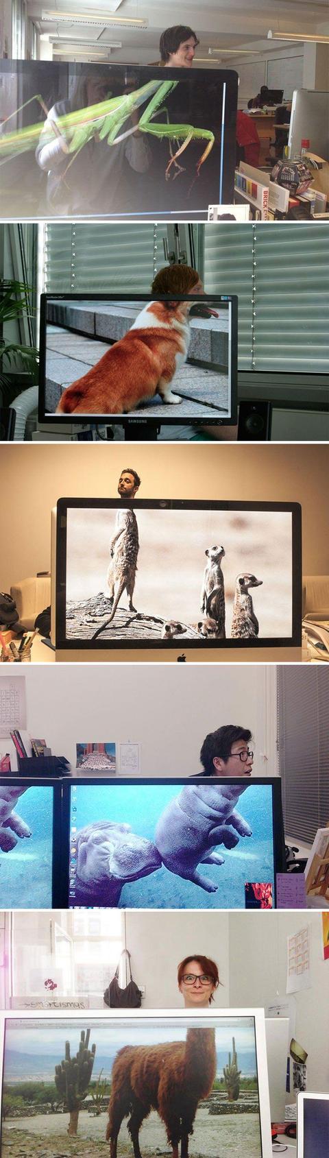 17 Hilariously Genius Desktop Wallpapers That Will Make You Look Twice!