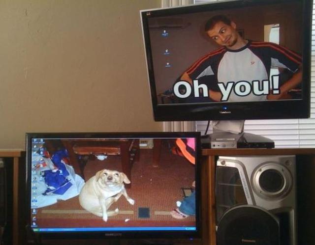 17 Hilariously Genius Desktop Wallpapers That Will Make You Look Twice!