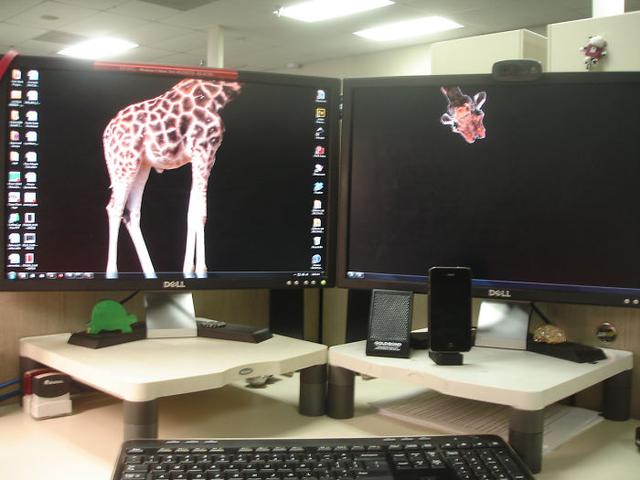 17 Hilariously Genius Desktop Wallpapers That Will Make You Look Twice!