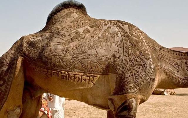 camel haircut - Trnal Ramin Rsive