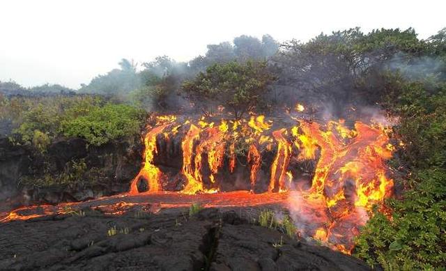 lava in a forest