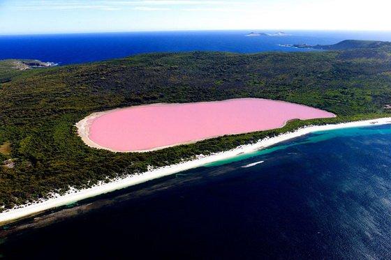 natural pink lake australia