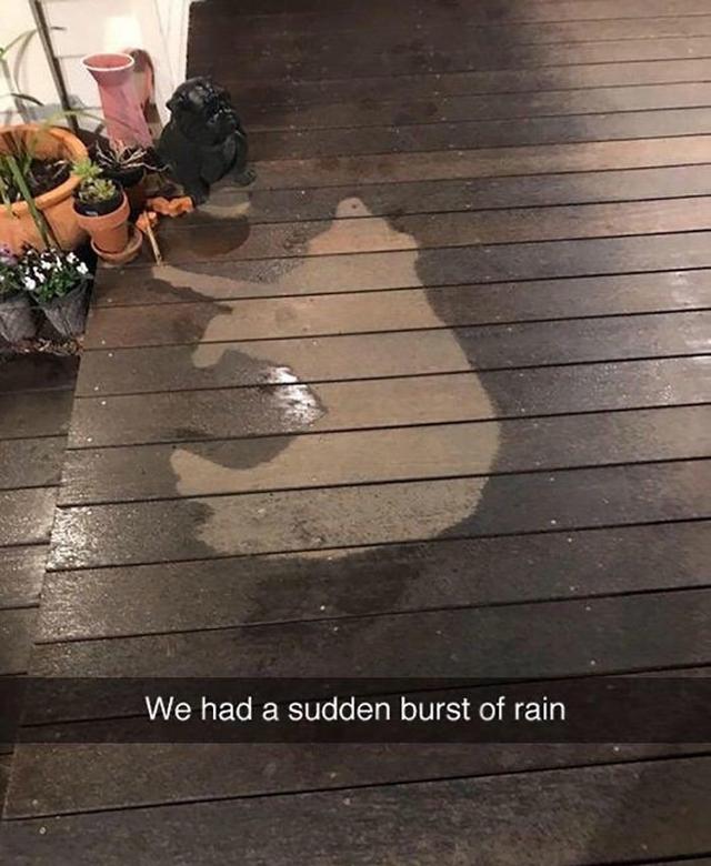 rain snapchat caption - We had a sudden burst of rain