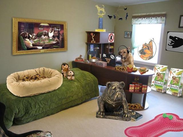 This Person's Dad Said His Dog Took Over His Room After He Left For College. He Sent Him This...