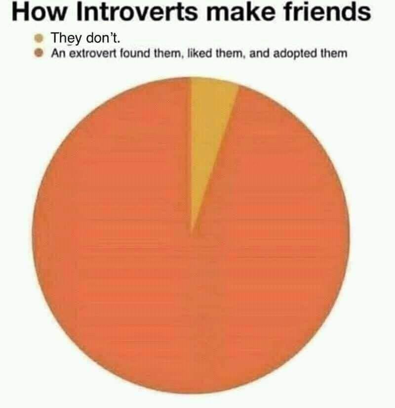 introverts make friends meme - How Introverts make friends They don't An extrovert found them, d them, and adopted them