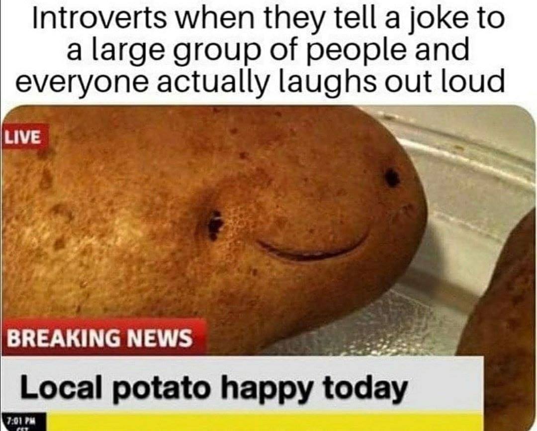 cute potato - Introverts when they tell a joke to a large group of people and everyone actually laughs out loud Live Breaking News Local potato happy today 01