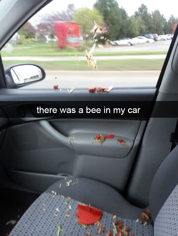 funny fails - there was a bee in my car