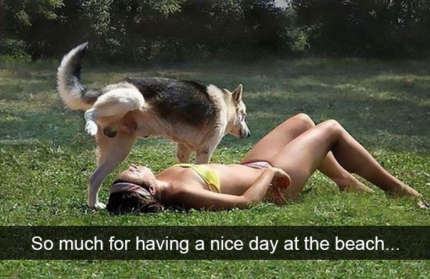 funny fails - So much for having a nice day at the beach...