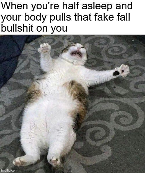 funny cat pics 2020 - When you're half asleep and your body pulls that fake fall bullshit on you imgflip.com
