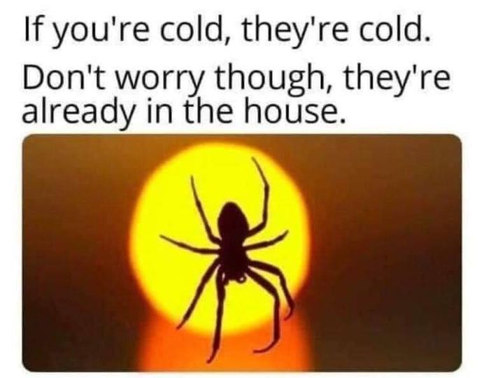 orange - If you're cold, they're cold. Don't worry though, they're already in the house.