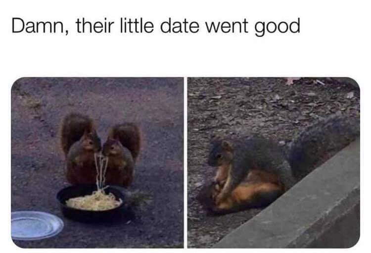name a better date ill wait - Damn, their little date went good