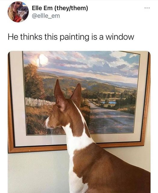 he thinks this painting is a window - Elle Em theythem He thinks this painting is a window
