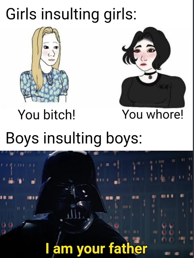 darth vader - Girls insulting girls You bitch! You whore! Boys insulting boys I am your father