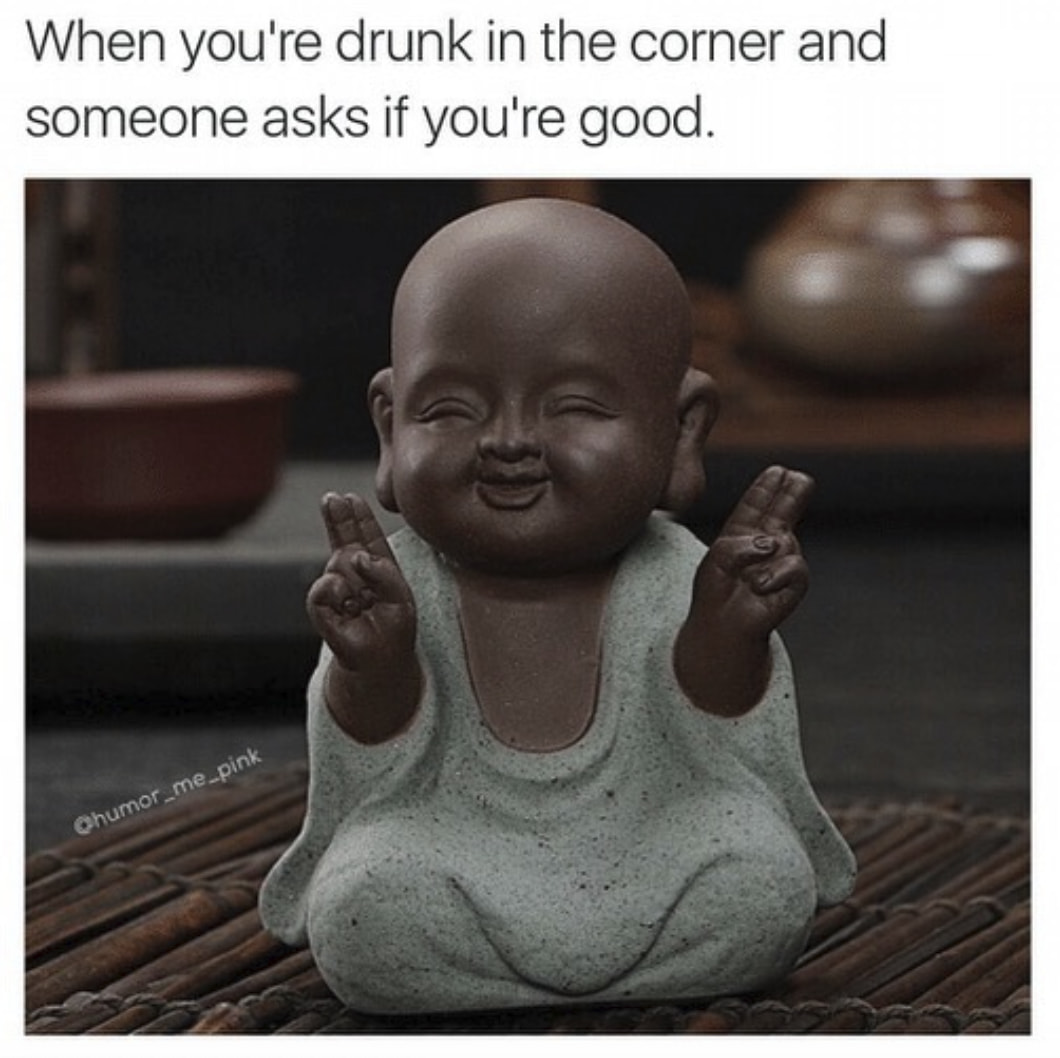 funny drunk memes - When you're drunk in the corner and someone asks if you're good.