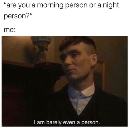 aquarius memes funny - "are you a morning person or a night person?" me I am barely even a person.